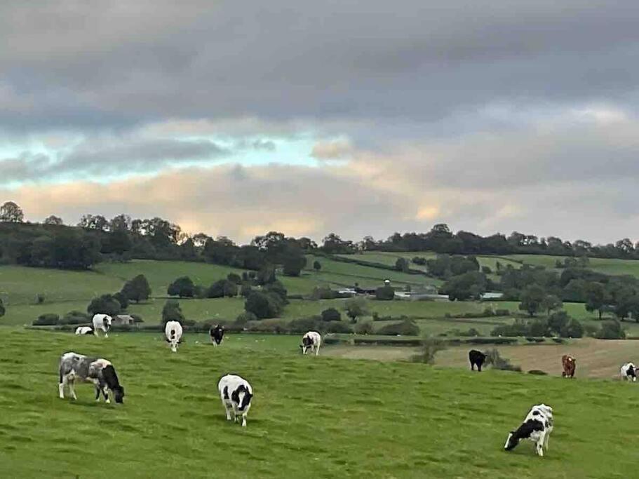 Farm Stay Caravan On Working Farm Dacre  Eksteriør bilde