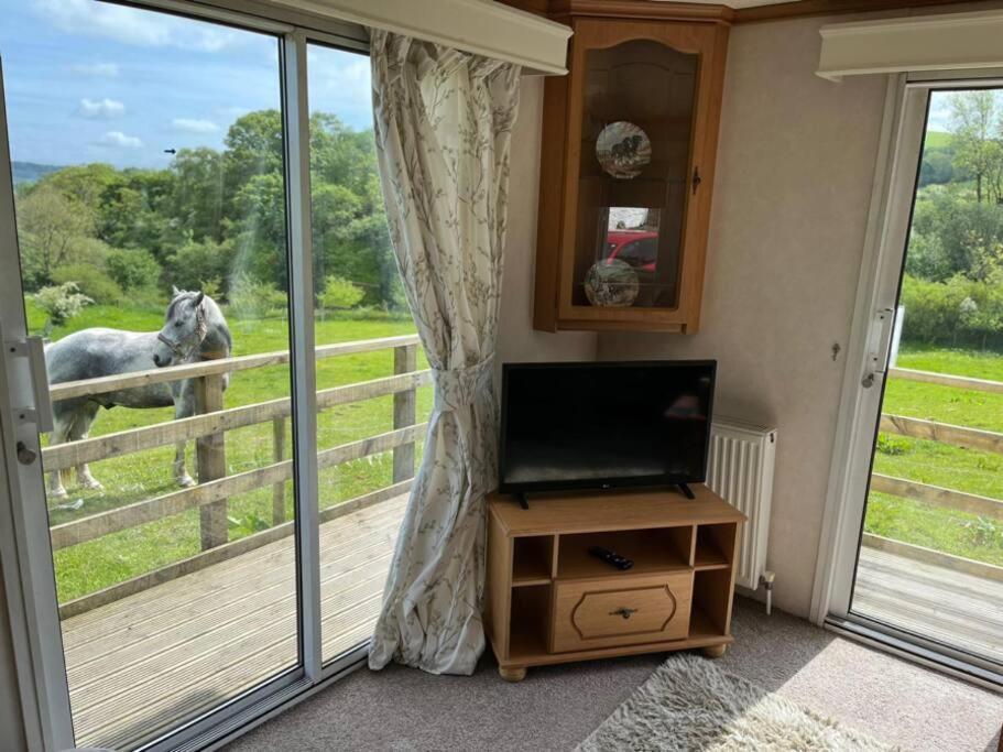 Farm Stay Caravan On Working Farm Dacre  Eksteriør bilde